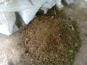 Pupuk Kandang dari Kotoran Ternak