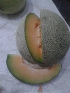 Matangnya Buah Melon Karena Hormon Gas Etilen