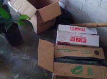 Gardus untuk packing bibit tanaman cangkok