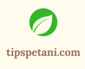 logo tipspetani.com