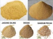 pupuk organik dari dedak padi